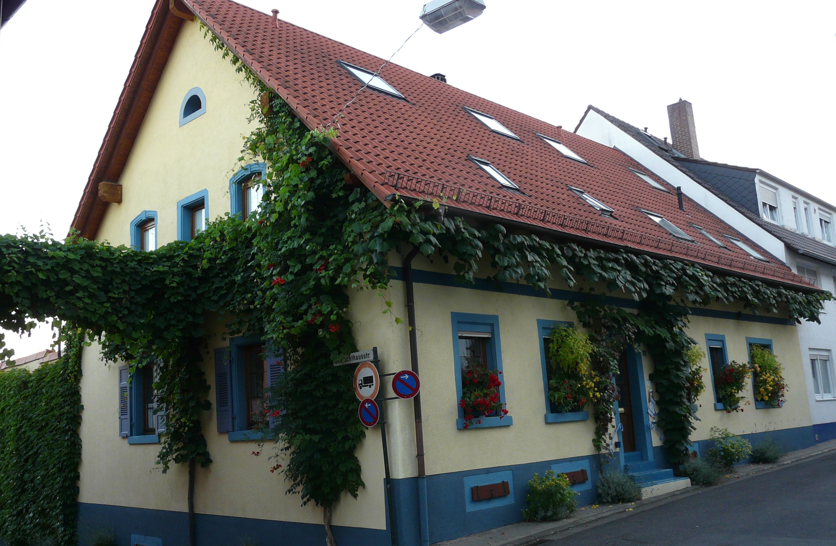 Haus Rebenhof Ferienwohnung in Bad Dürkheim Startseite